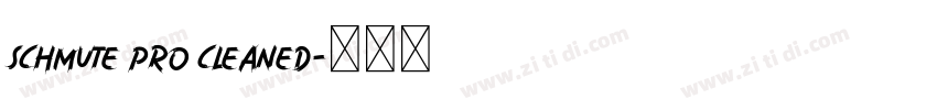 schmute pro cleaned字体转换 schmute pro cleaned字体转换